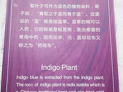 -乌镇东栅景区