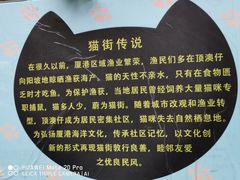 -猫咪博物馆(顶澳仔猫街店)