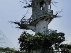 -芒洲湿地公园