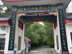 -王顺山国家森林公园