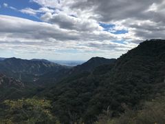 -大岭沟猕猴桃谷风景区