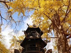 -青岛崂山太清宫