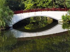 -东平国家森林公园