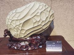 -中华赏石园