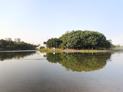 -映月湖公园