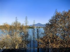 -颂福楼·南京菜(定淮门店)