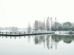 -浙江农林大学(东湖校区)