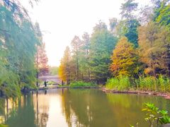 -云溪植物园