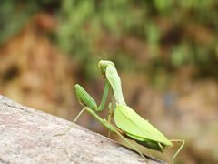 -华蓥山天意谷景区