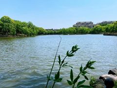 -上海影视乐园