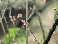 -宁波市保国寺古建筑博物馆