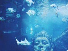 -暹罗海洋世界