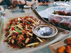 爆炒脆螺-方脑壳