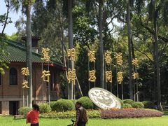 -中山大学学者灵芝(园南路店)