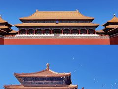 -故宫博物院(故宫)
