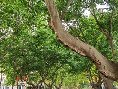 -盱眙虾神於氏龙虾(夫子庙红街店)