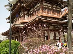 -西安青龙寺遗址景区