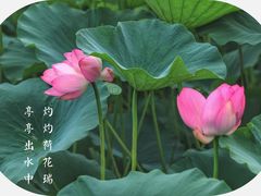 -前关湿地公园
