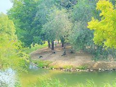 -北京麋鹿生态实验中心