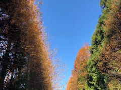 -山王坪喀斯特国家生态公园