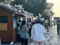 -天津妈祖文化园