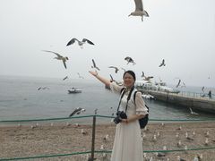 -海驴岛(荣成市)
