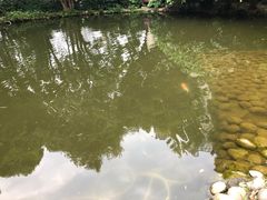 -成都市活水公园