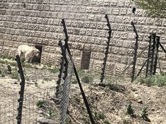 -新疆天山野生动物园