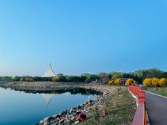 -丁香湖公园