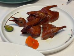 -千灯盛汇·头牌粤菜(致越优城店)