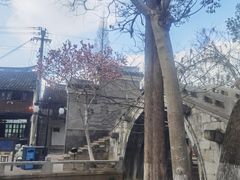 -练塘古镇