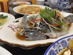 -有家驴肉黄面(敦煌店)