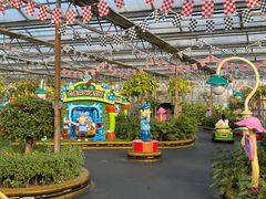 -南宫五洲植物乐园