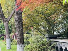 -浙江西子宾馆·瑶园咖啡厅