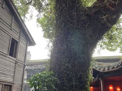 -星巴克(福州三坊七巷店)