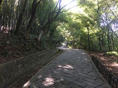 -峙山公园