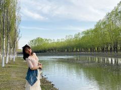 -东郊湿地公园