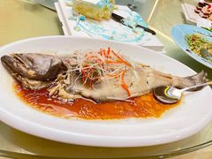 -山东政协大厦维景大酒店