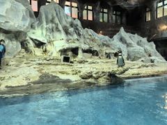 -帝企鹅自助餐厅•儿童岛•真企鹅(长隆企鹅酒店)