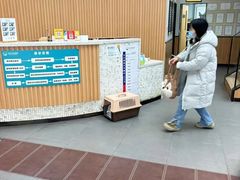 -联合动物医院(光谷诊疗中心)