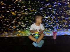 -成都浩海立方海洋公园