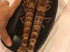 -鲜入围煮花胶鸡海鲜火锅