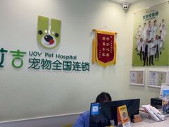 -艾吉宠物医院·疑难杂症转诊中心·猫友好(碧江路院)