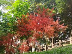 -百林公园-两江幸福广场