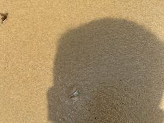 -三亚海棠湾万丽度假酒店