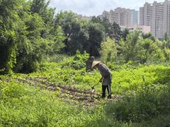 -松浦·观江国际