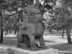 -北陵公园