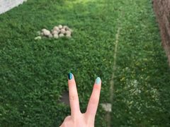 -斯福尔扎古堡