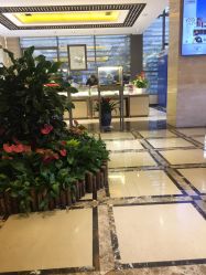 -中国黄金(北京旗舰店)