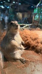 -Zoolung Zoolung动物主题公园(海信广场店)